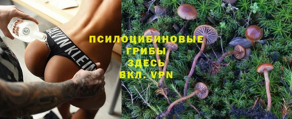 прущие крисы Богородицк