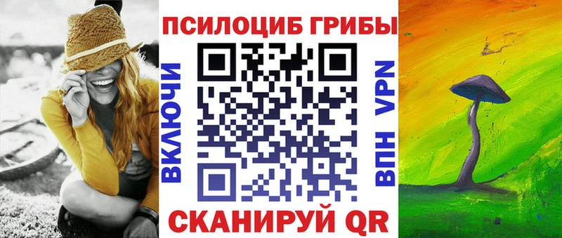 где найти наркотики  Далматово  Псилоцибиновые грибы Magic Shrooms 